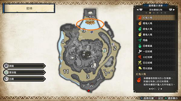 《魔物獵人崛起》貫通烏賊在哪?曙光貫通烏賊位置介紹 《魔物獵人崛起》貫通烏賊在哪?曙光貫通烏賊位置介紹