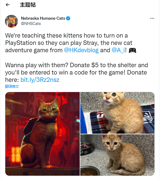 《Stray》發行商開啟慈善抽獎活動 救助現實中的流浪貓 《Stray》發行商開啟慈善抽獎活動 救助現實中的流浪貓