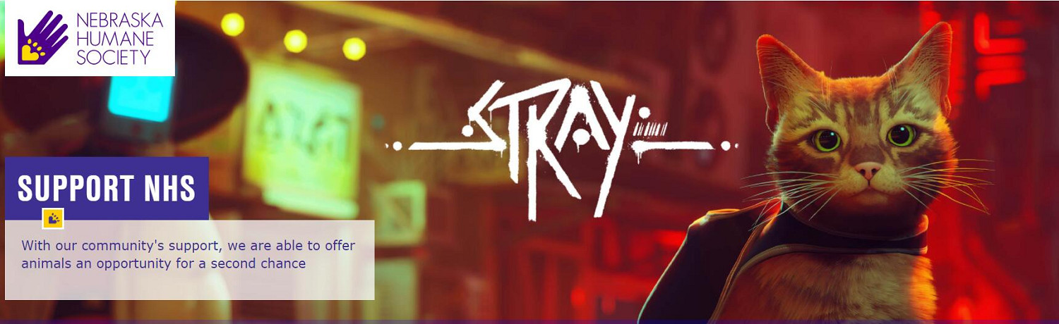 《Stray》發行商開啟慈善抽獎活動 救助現實中的流浪貓 《Stray》發行商開啟慈善抽獎活動 救助現實中的流浪貓