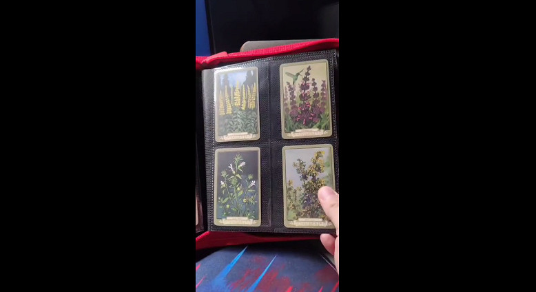 玩家曬《大鏢客》現實全套香煙卡:流水的煙!鐵打的肺 玩家曬《大鏢客》現實全套香煙卡:流水的煙!鐵打的肺