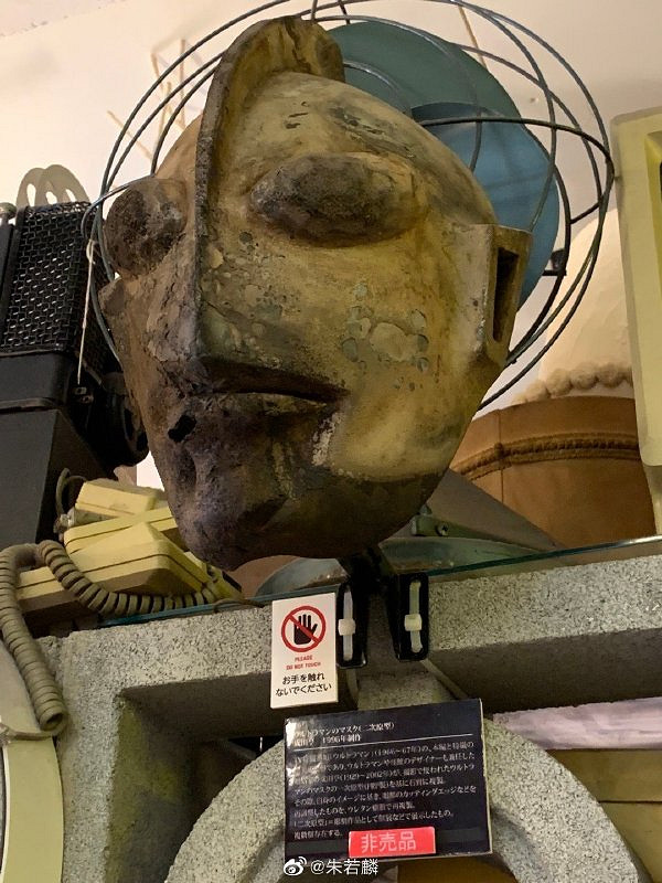 為何大夫查房手都放在後面 囧圖 路人街邊聚眾拍貓片