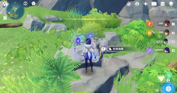 《原神》2.8破破島寶海螺在哪？2.8破破島寶海螺位置介紹