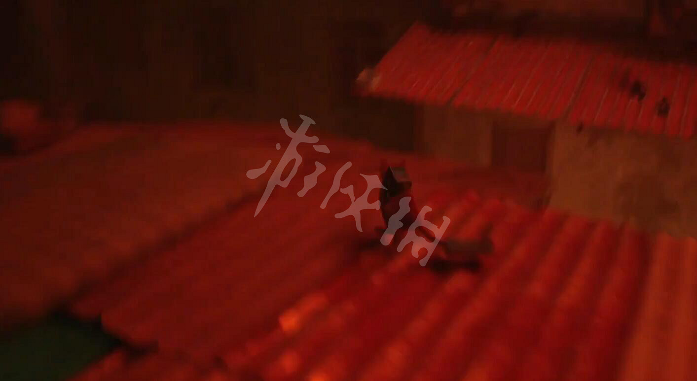 《浪貓》stray遊戲白金攻略 stray遊戲全成就全獎杯白金攻略 《浪貓》stray遊戲白金攻略 stray遊戲全成就全獎杯白金攻略