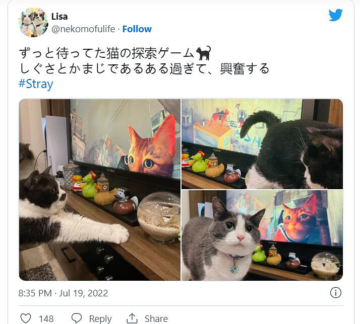 貓貓大冒險《Stray》引發網友曬貓熱潮 主子也被吸引