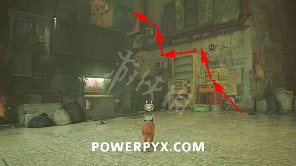 《浪貓》Momo的筆記在哪？strayMomo的筆記位置介紹