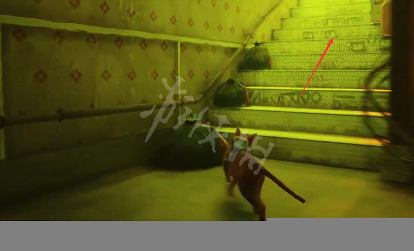 《浪貓》stray遊戲白金攻略 stray遊戲全成就全獎杯白金攻略 《浪貓》stray遊戲白金攻略 stray遊戲全成就全獎杯白金攻略