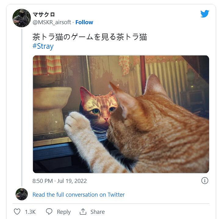 貓貓大冒險《Stray》引發網友曬貓熱潮 主子也被吸引