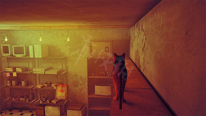 《浪貓》stray遊戲解謎攻略大全 全密碼全解謎全區域謎題