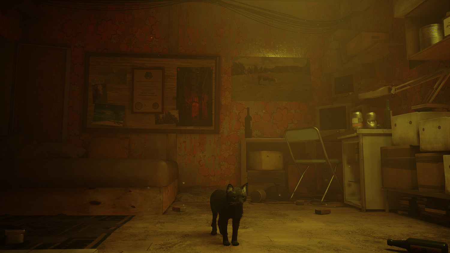 第三貓稱冒險遊戲《Stray》Mod分享!各種可愛貓貓 第三貓稱冒險遊戲《Stray》Mod分享!各種可愛貓貓