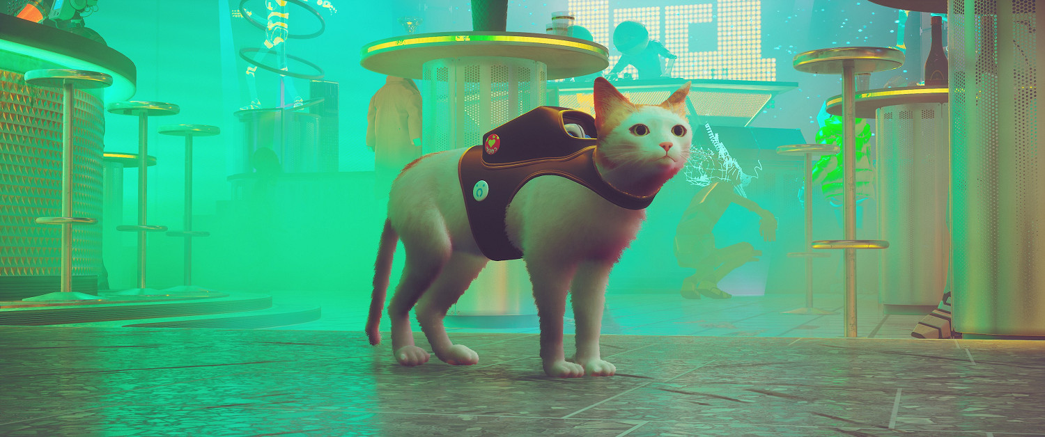 第三貓稱冒險遊戲《Stray》Mod分享!各種可愛貓貓 第三貓稱冒險遊戲《Stray》Mod分享!各種可愛貓貓