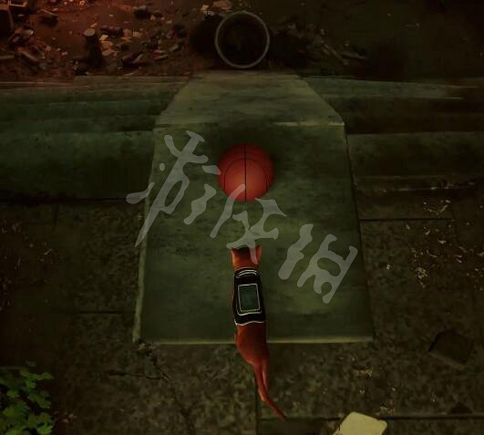 《浪貓》stray遊戲看喵的成就獲得 stray遊戲BoomchatKalakae獎杯獲得