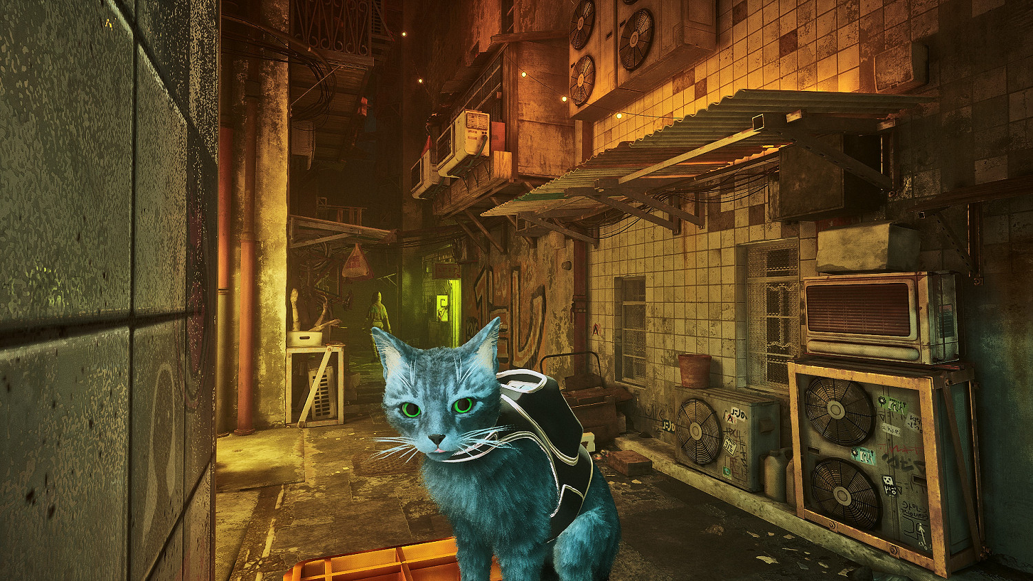 第三貓稱冒險遊戲《Stray》Mod分享!各種可愛貓貓 第三貓稱冒險遊戲《Stray》Mod分享!各種可愛貓貓