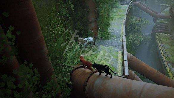 《浪貓》圖文攻略 全流程全收集全記憶全解謎 《浪貓》圖文攻略 全流程全收集全記憶全解謎