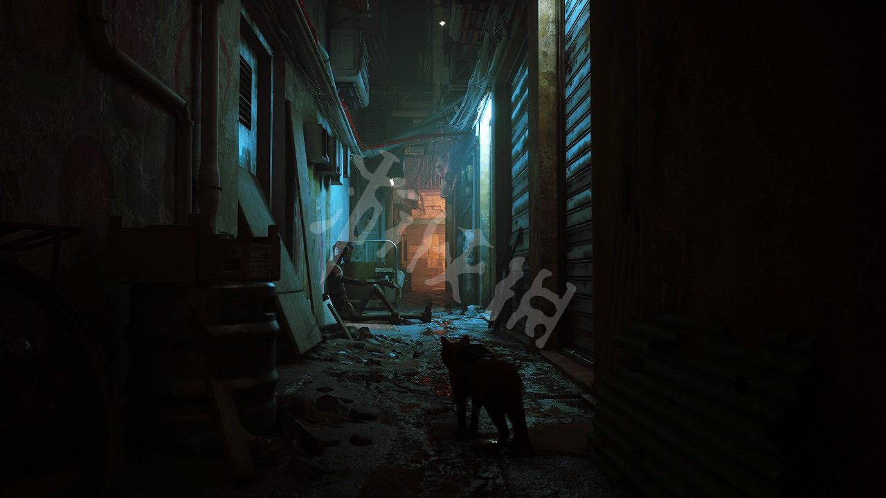 《浪貓》電纜如何獲得？stray電纜獲取方法介紹