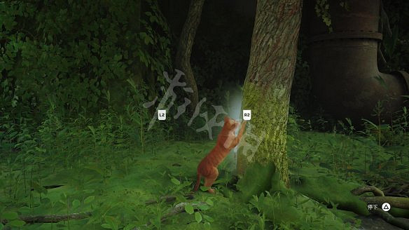 《浪貓》圖文攻略 全流程全收集全記憶全解謎 《浪貓》圖文攻略 全流程全收集全記憶全解謎