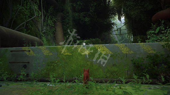 《浪貓》圖文攻略 全流程全收集全記憶全解謎 《浪貓》圖文攻略 全流程全收集全記憶全解謎