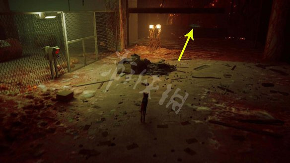 《浪貓》圖文攻略 全流程全收集全記憶全解謎 《浪貓》圖文攻略 全流程全收集全記憶全解謎