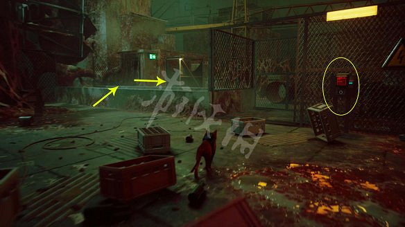 《浪貓》圖文攻略 全流程全收集全記憶全解謎 《浪貓》圖文攻略 全流程全收集全記憶全解謎