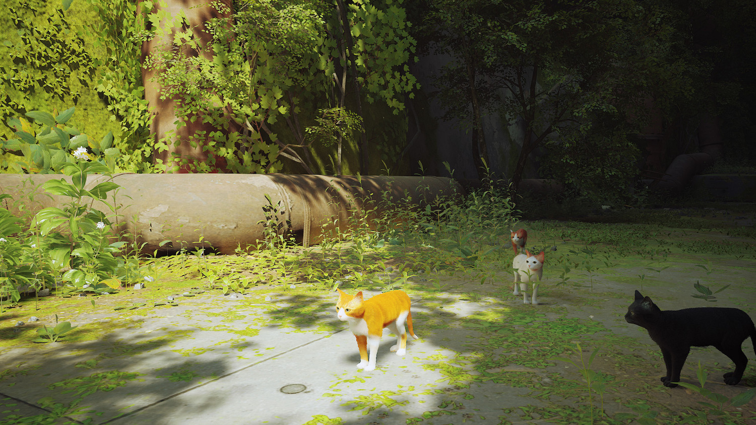 第三貓稱冒險遊戲《Stray》Mod分享!各種可愛貓貓 第三貓稱冒險遊戲《Stray》Mod分享!各種可愛貓貓