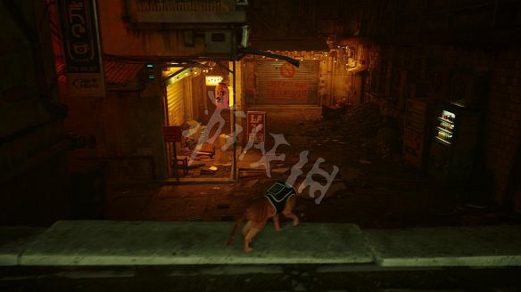 《浪貓》圖文攻略 全流程全收集全記憶全解謎 《浪貓》圖文攻略 全流程全收集全記憶全解謎