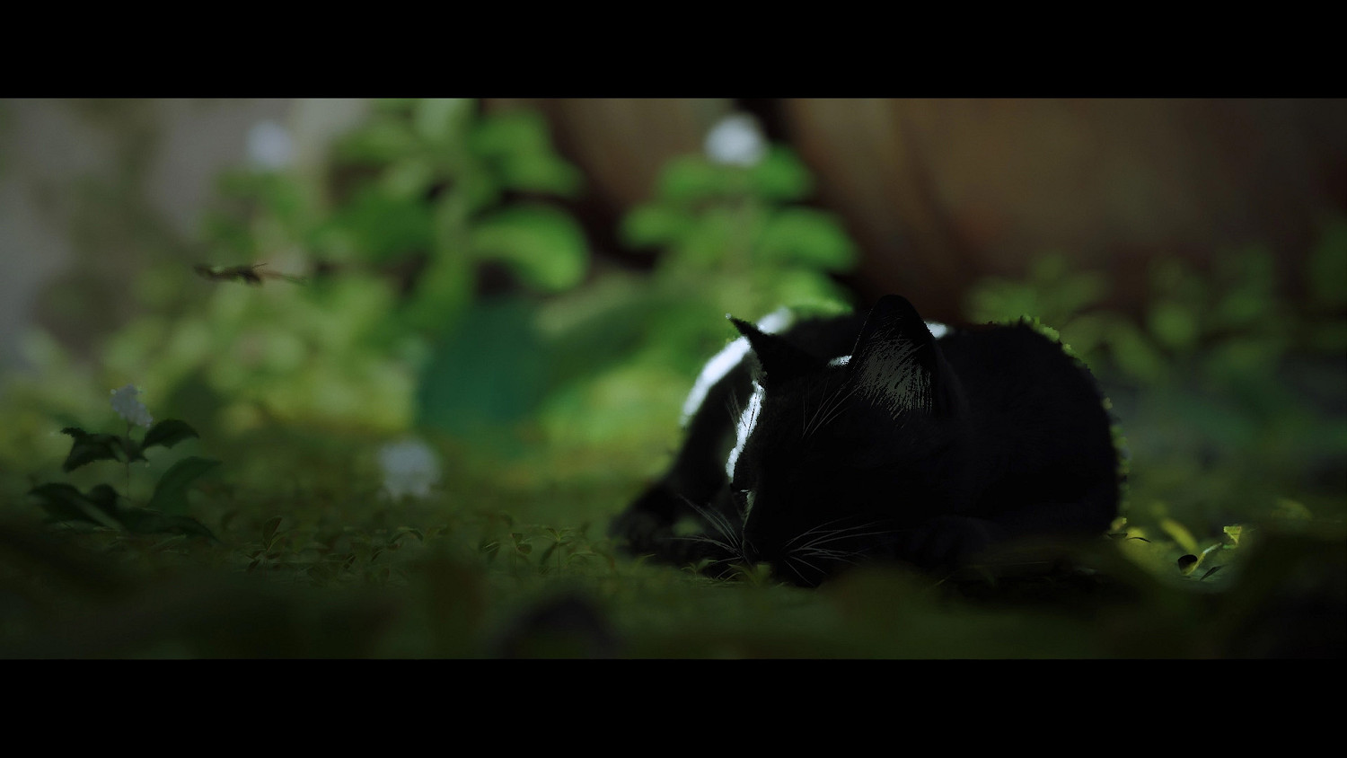 第三貓稱冒險遊戲《Stray》Mod分享!各種可愛貓貓 第三貓稱冒險遊戲《Stray》Mod分享!各種可愛貓貓