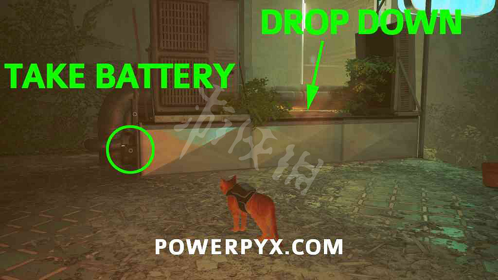 《浪貓》筆記在哪？stray四本筆記位置介紹