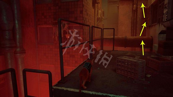 《浪貓》圖文攻略 全流程全收集全記憶全解謎 《浪貓》圖文攻略 全流程全收集全記憶全解謎