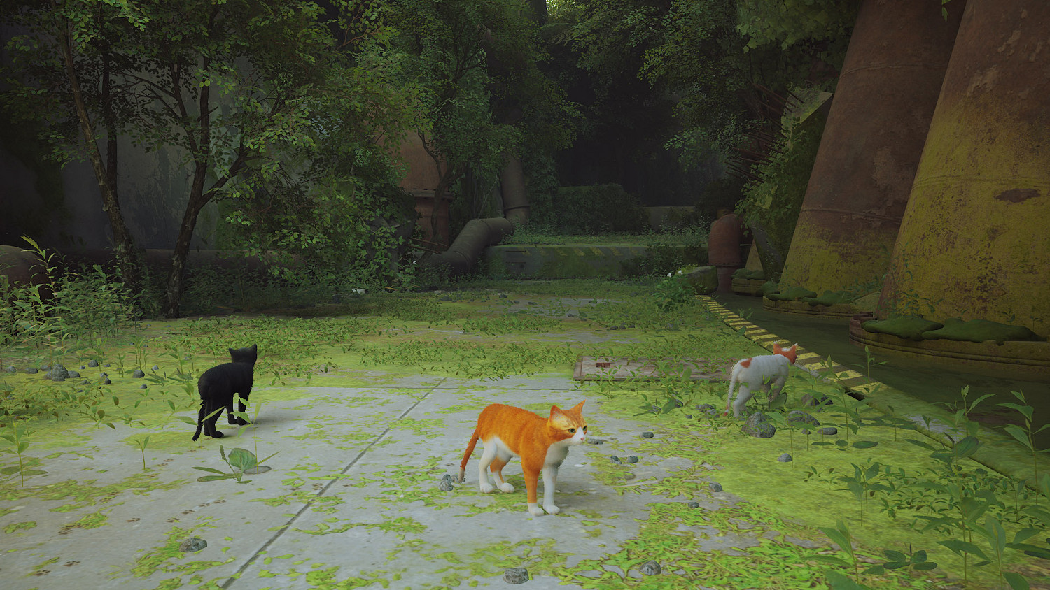 第三貓稱冒險遊戲《Stray》Mod分享!各種可愛貓貓 第三貓稱冒險遊戲《Stray》Mod分享!各種可愛貓貓