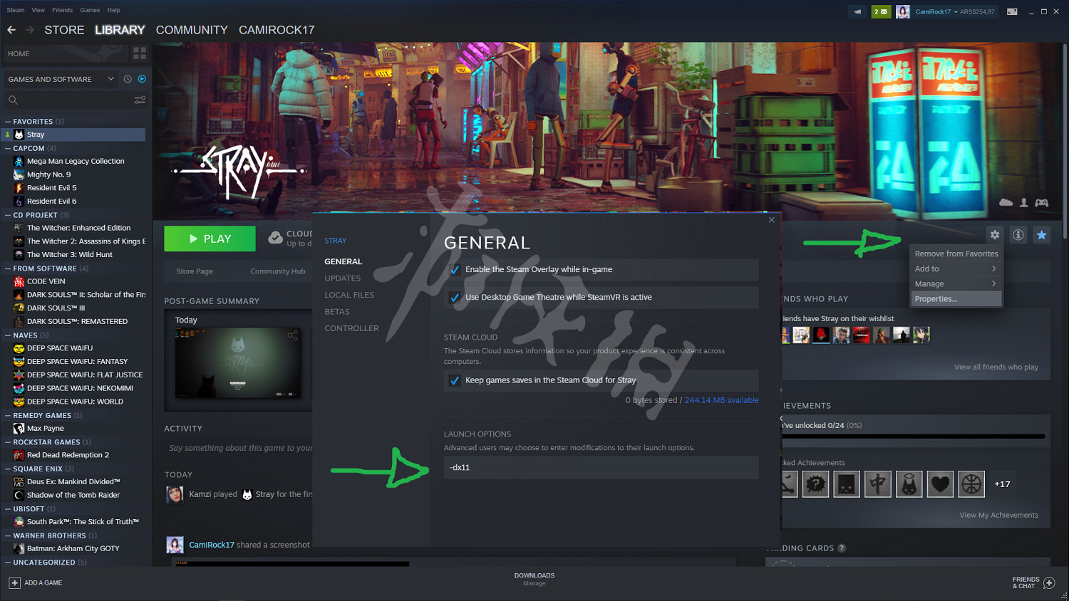 《浪貓》遊戲dx11怎麽運行?straydx11運行方法介紹 《浪貓》遊戲dx11怎麽運行?straydx11運行方法介紹
