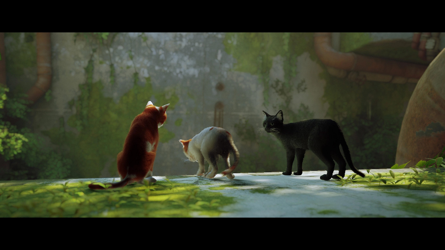 第三貓稱冒險遊戲《Stray》Mod分享!各種可愛貓貓 第三貓稱冒險遊戲《Stray》Mod分享!各種可愛貓貓