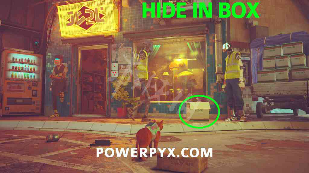 《浪貓》工人頭盔如何獲得?stray工人頭盔獲取方法介紹 《浪貓》工人頭盔如何獲得?stray工人頭盔獲取方法介紹