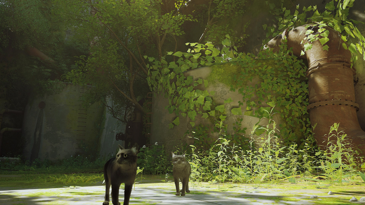 第三貓稱冒險遊戲《Stray》Mod分享!各種可愛貓貓 第三貓稱冒險遊戲《Stray》Mod分享!各種可愛貓貓