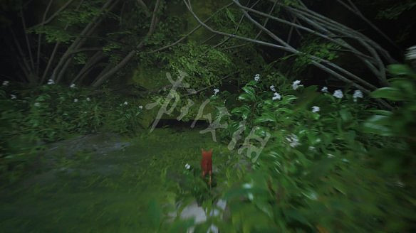 《浪貓》圖文攻略 全流程全收集全記憶全解謎 《浪貓》圖文攻略 全流程全收集全記憶全解謎