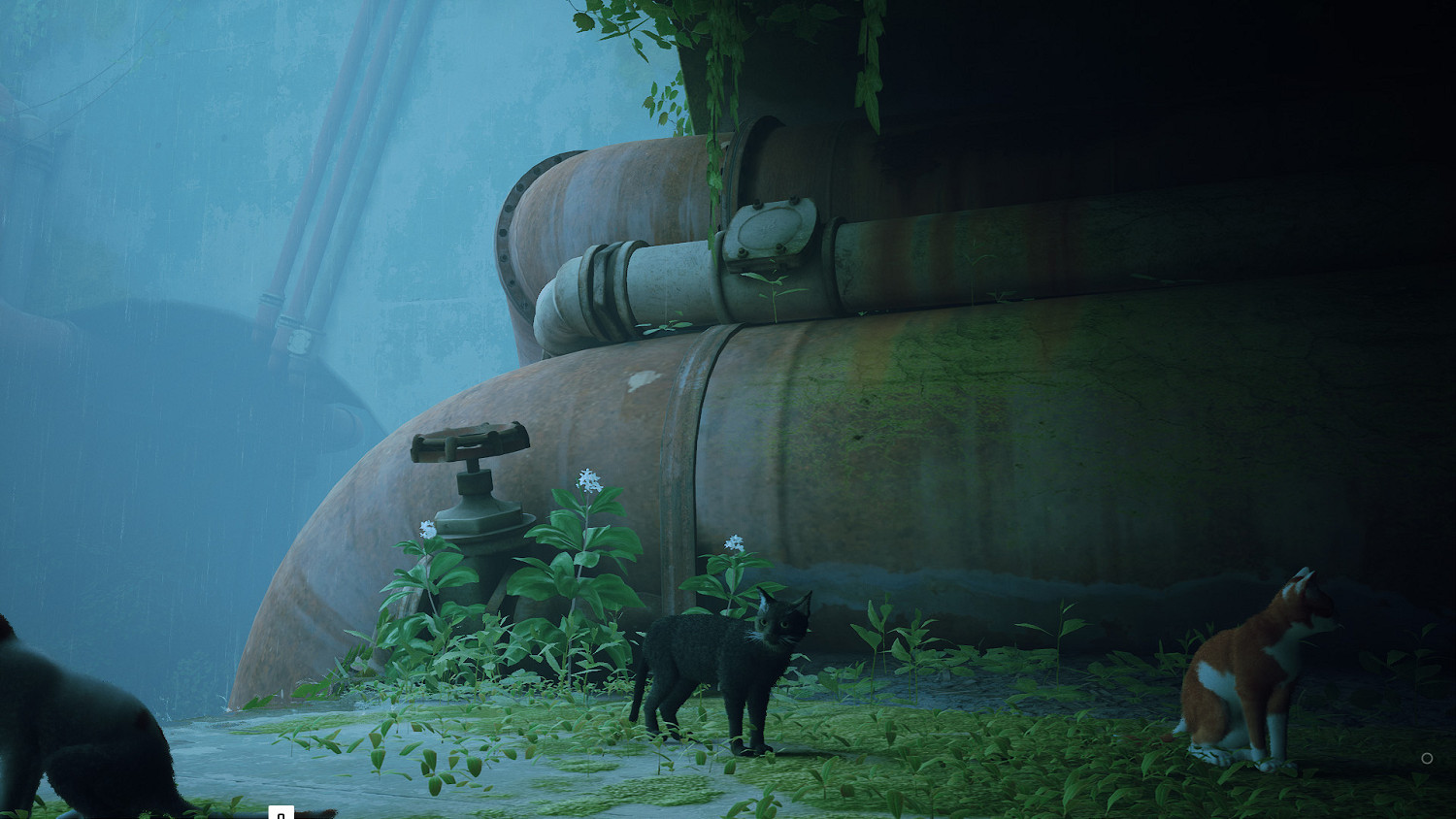 第三貓稱冒險遊戲《Stray》Mod分享!各種可愛貓貓 第三貓稱冒險遊戲《Stray》Mod分享!各種可愛貓貓