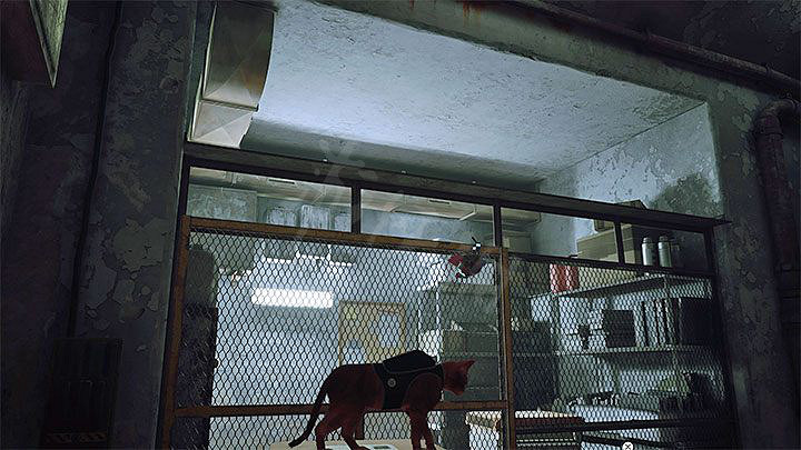 《浪貓》stray遊戲解謎攻略大全 全密碼全解謎全區域謎題