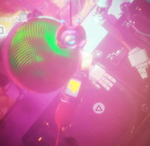 《浪貓》stray夜店唱片在哪？夜店唱片位置介紹