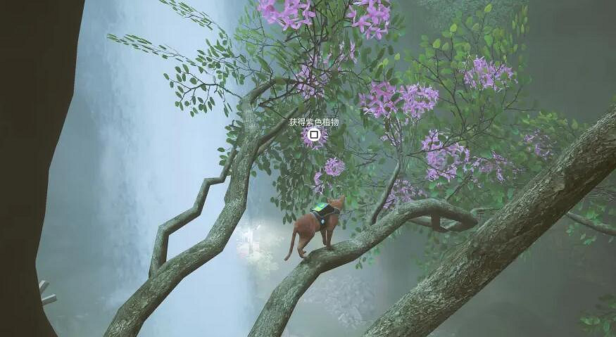 《浪貓》stray植物徽章怎麽獲得？植物徽章獲得方法