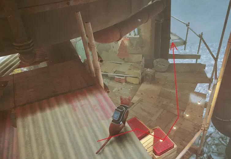 《浪貓》stray植物徽章怎麽獲得？植物徽章獲得方法