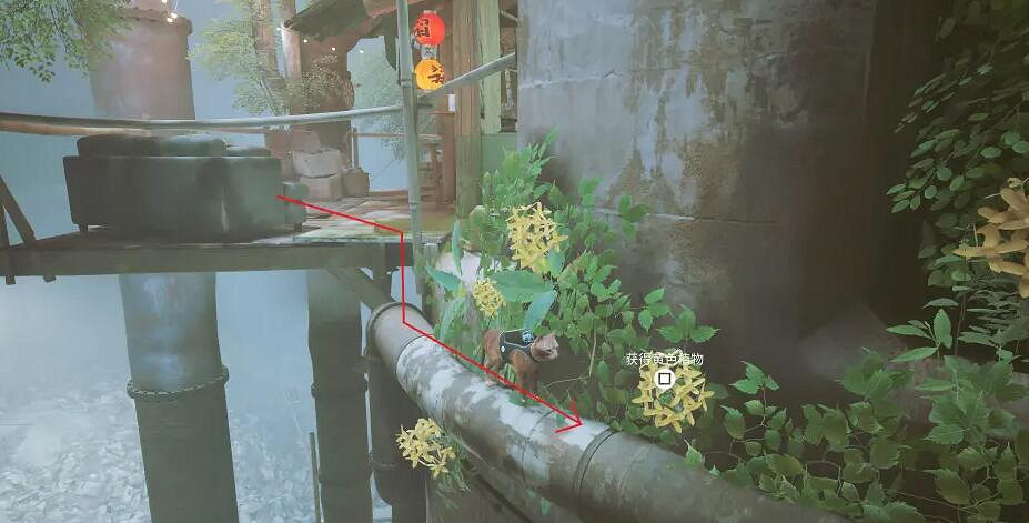 《浪貓》stray植物徽章怎麽獲得？植物徽章獲得方法