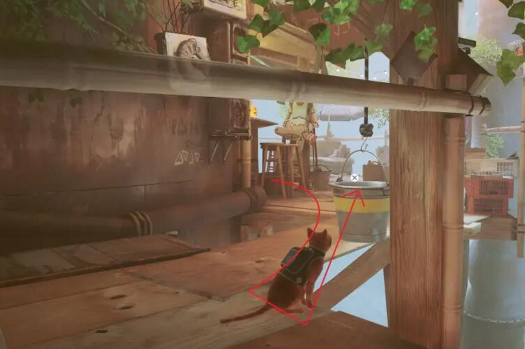 《浪貓》stray植物徽章怎麽獲得？植物徽章獲得方法