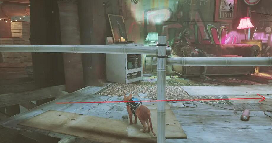 《浪貓》stray植物徽章怎麽獲得？植物徽章獲得方法