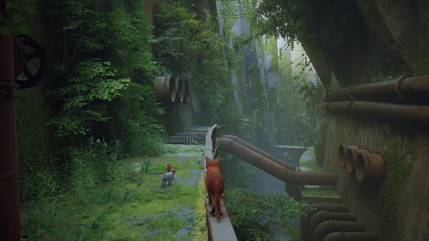 《浪貓》stray機器人有哪些？可以輕蹭的機器人位置分享