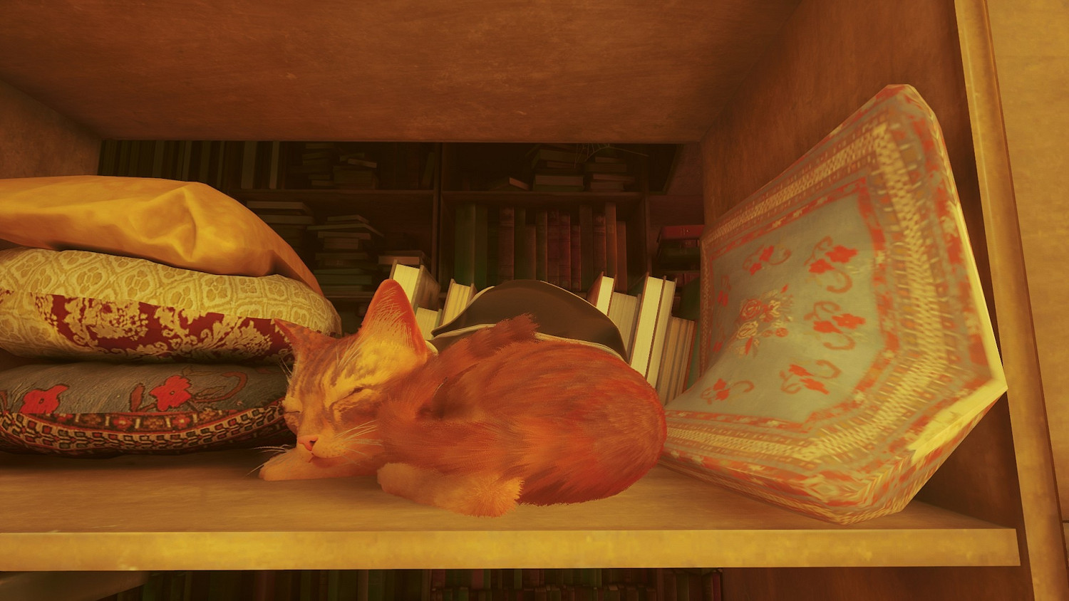 《浪貓》stray貓最好的朋友獎杯攻略 貓最好的朋友怎麽觸發？