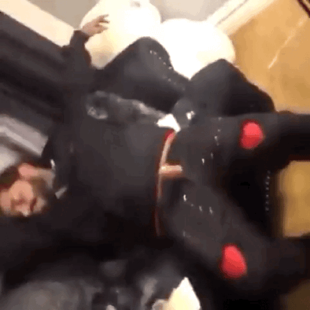 蘋果未來設計慘遭泄露 動圖 完成主人的任務罷了