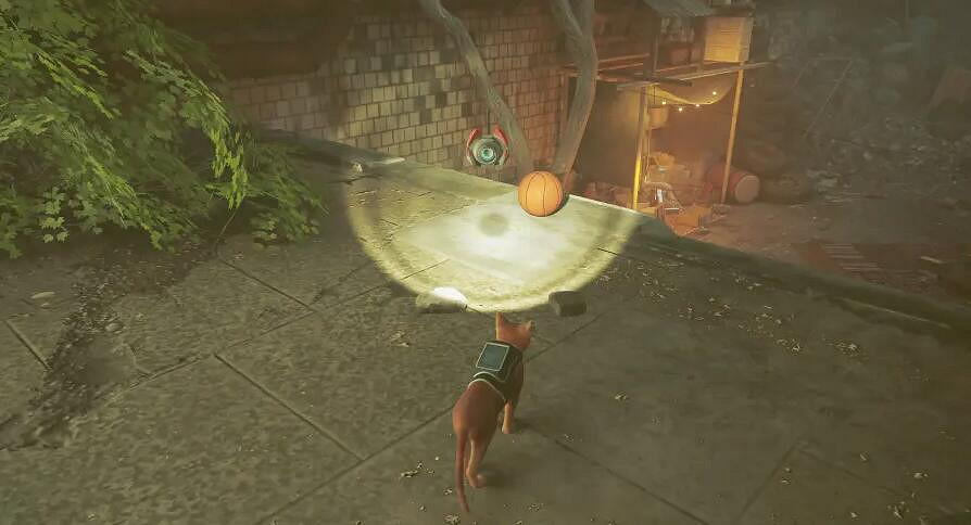 《浪貓》stray看喵的成就攻略 灌籃怎麽投中? 《浪貓》stray看喵的成就攻略 灌籃怎麽投中?