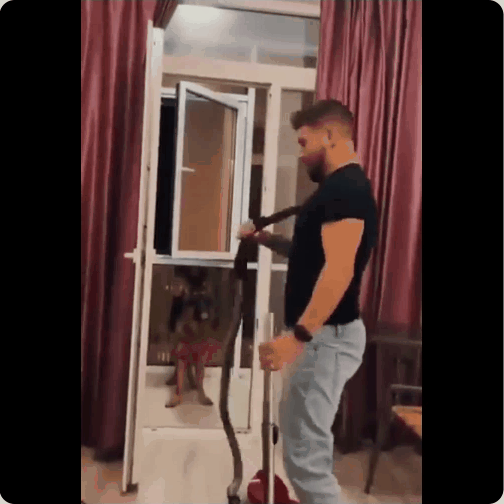 蘋果未來設計慘遭泄露 動圖 完成主人的任務罷了