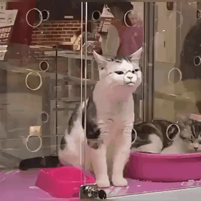 蘋果未來設計慘遭泄露 動圖 完成主人的任務罷了