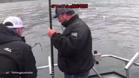 蘋果未來設計慘遭泄露 動圖 完成主人的任務罷了