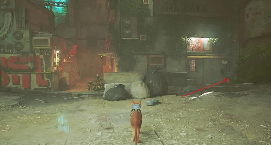 《浪貓》stray洗衣店洗潔劑怎麽拿？洗潔劑獲得方法