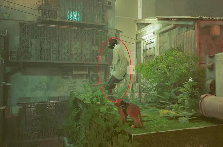 《浪貓》stray洗衣店洗潔劑怎麽拿？洗潔劑獲得方法